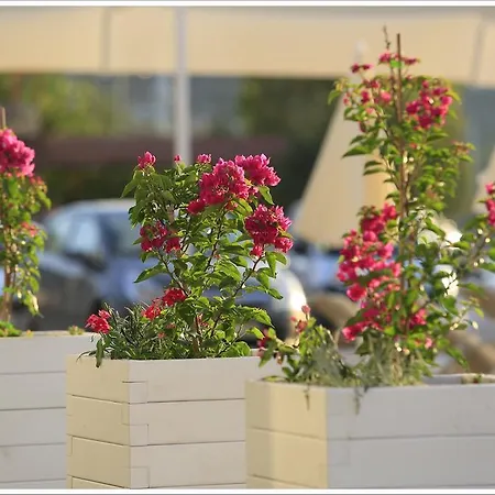 Hotel Big Posedion Selimiye Marmaris